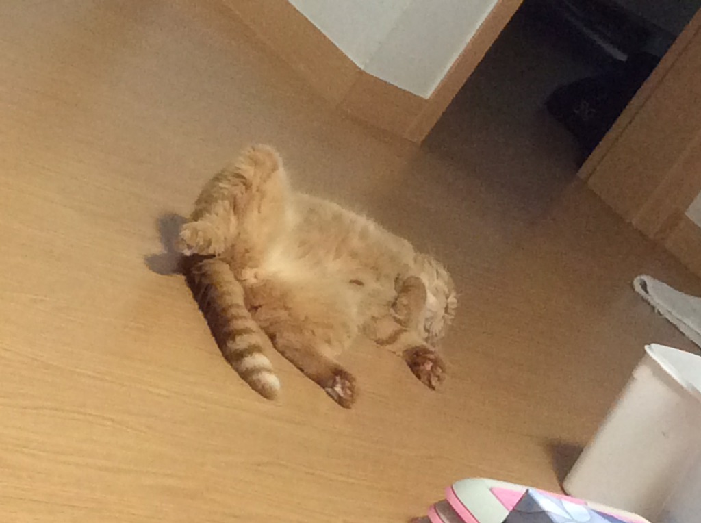 2018년 첫 고환 | 인스티즈