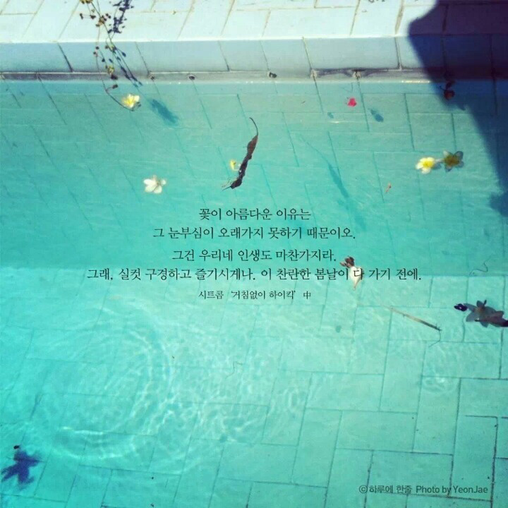 [고르기] 나는 혼자 있는게 좋다 VS 여럿이 있는게 좋다 | 인스티즈