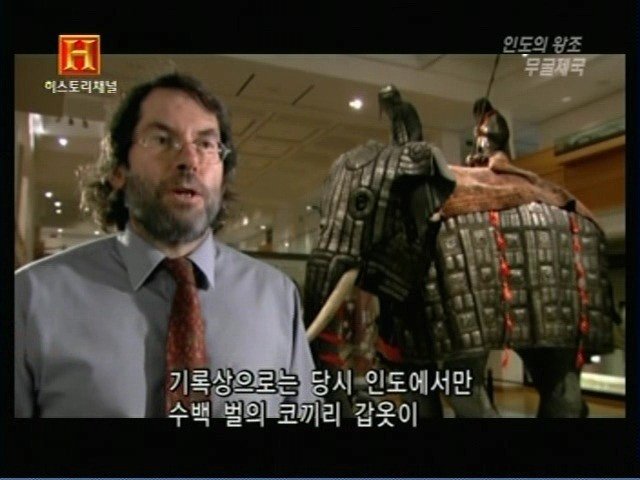 인도의 무굴 제국에서 사용한 전투 코끼리 갑옷 | 인스티즈