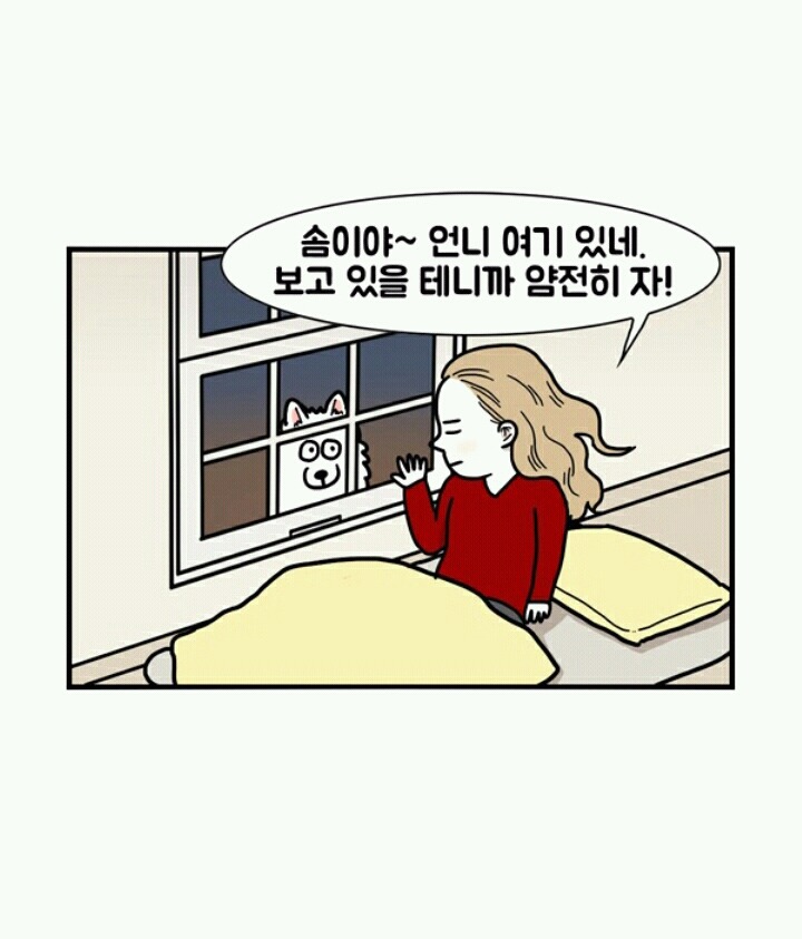 사람들이 극한견주봐도 잘 모르는 사실 | 인스티즈