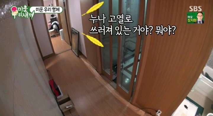 혼날까봐 눈치보는 독희 | 인스티즈