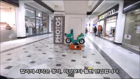 우리가 몰랐던 자폐아가 보는 세상 | 인스티즈