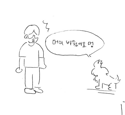아름다운 애완인간 | 인스티즈