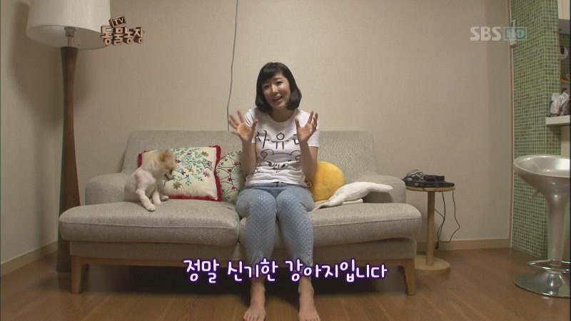 동물농장 최초 사기꾼.JPG | 인스티즈