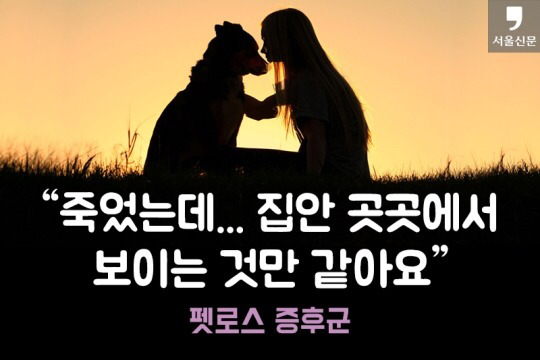 처음 반려동물 키우기 시작했을 때 너무 좋고 예뻐서 생각하지 못하는 것.jpg | 인스티즈