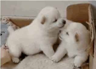 딥키스.gif | 인스티즈