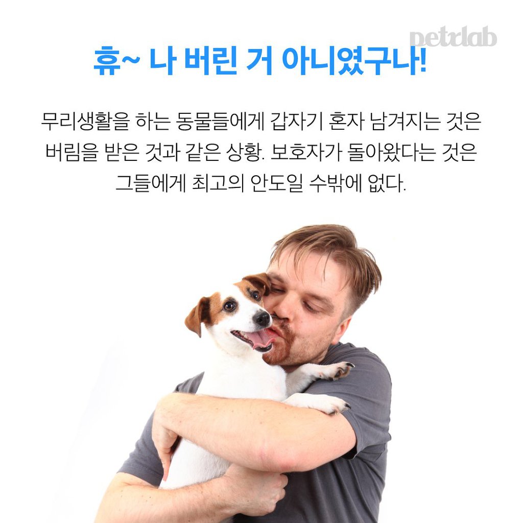멍뭉이는 왜 당신을 반겨줄까? | 인스티즈