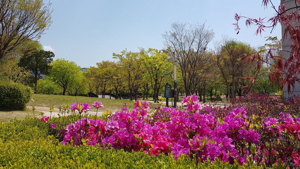창포원 이미지