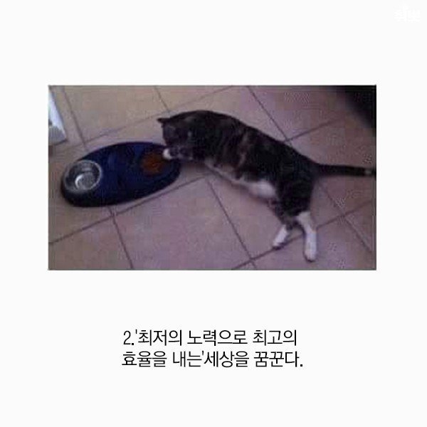 게으른 사람이 점점 똑똑해질 수 밖에 없는 이유 | 인스티즈
