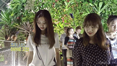 높은곳 올라간 트와이스 멤버들 반응 gif | 인스티즈