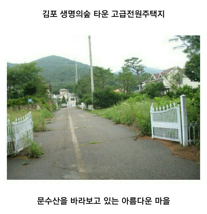 대흥리츠 이미지