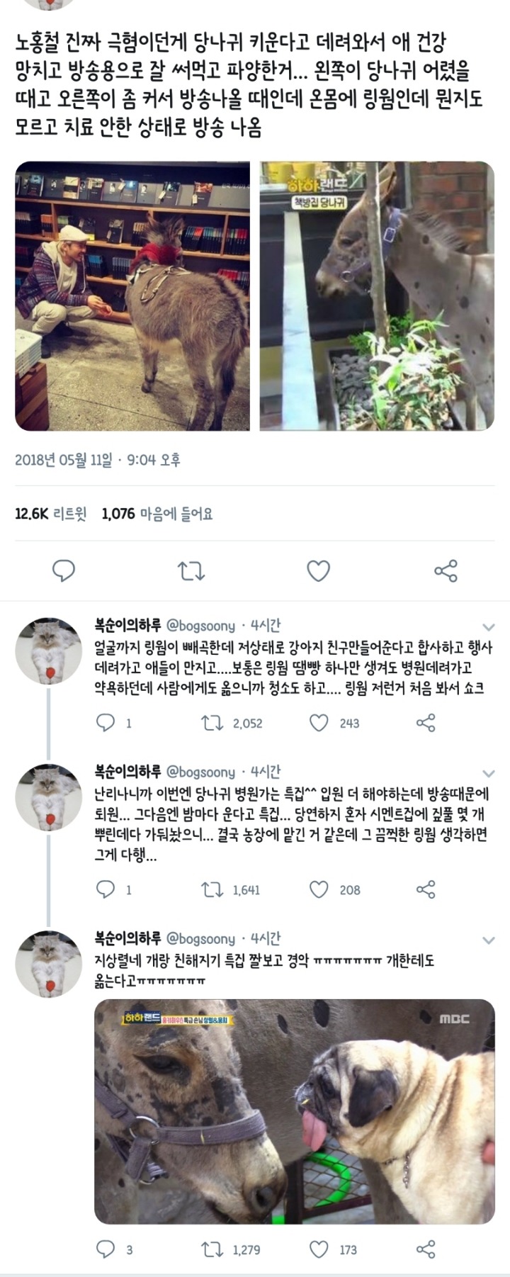 노홍철이 입양했던 당나귀 건강상태 | 인스티즈