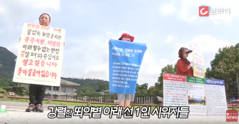 청와대 집회 503 vs 문재인대통령 비교 | 인스티즈