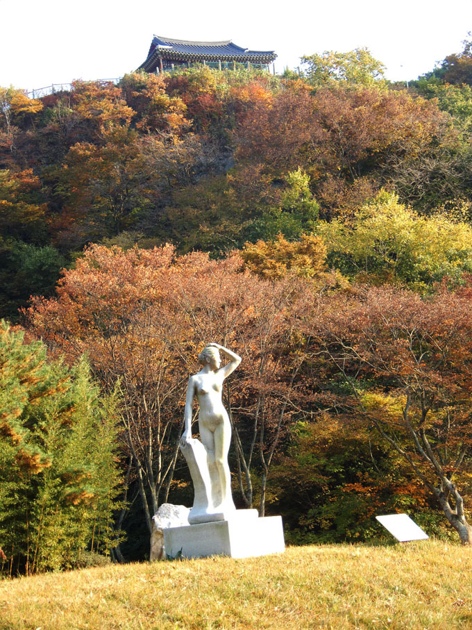 탑환경 이미지