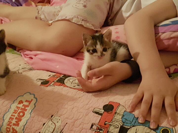 큰딸이 잠이부족한이유 | 인스티즈
