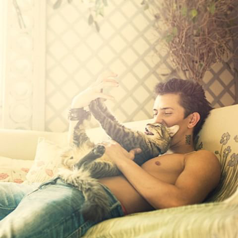 귀여운 고양이들 | 인스티즈