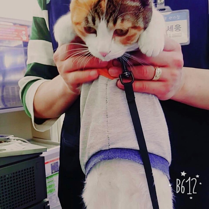어린(?) 나이에 편의점 점장이 되었다 | 인스티즈