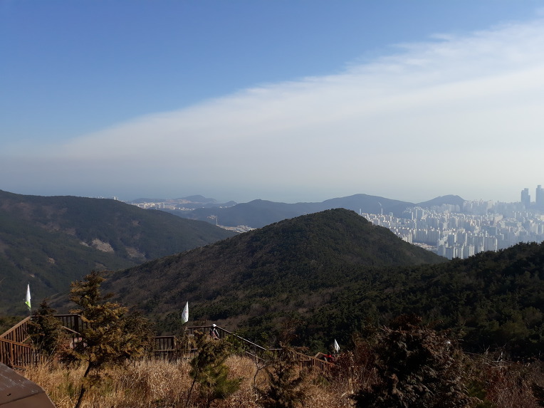 장산 이미지
