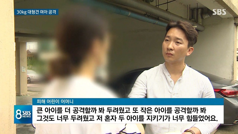 주택에서 키우던 대형견이 세 모녀 공격.gif | 인스티즈