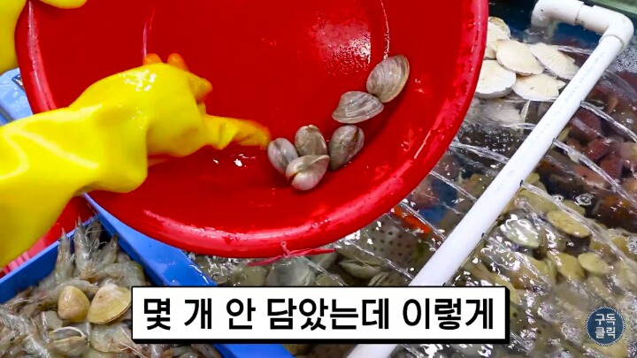 대게나 킹크랩살때 바가지 안당하는 방법!!! | 인스티즈