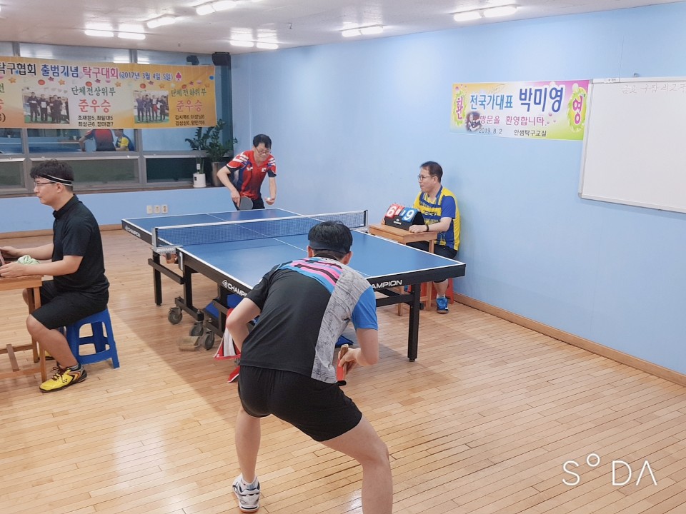 안샘 이미지