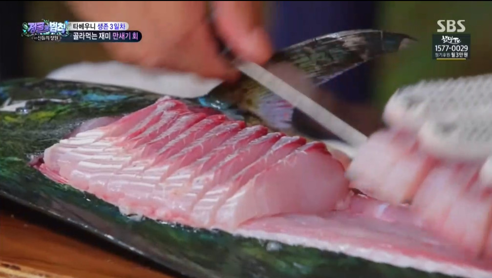 오늘자 정글의법칙 이태곤 회뜨기 클라스 | 인스티즈