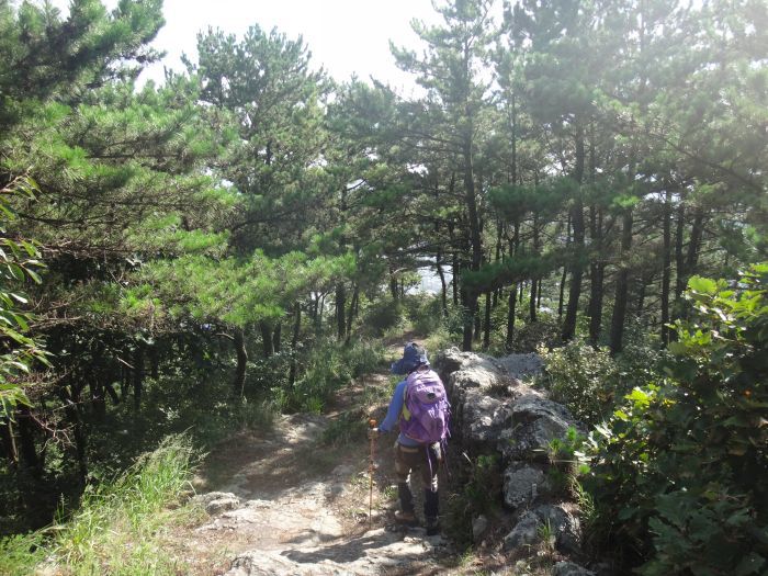 돌샘약수터 이미지