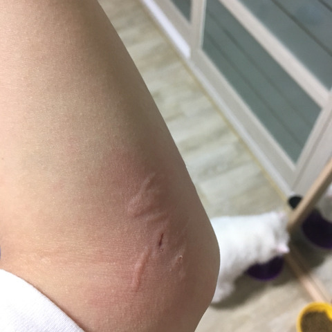 반려동물을 기른다는 것에 대한 현실(feat.매쫑)+댓글에도 여시들이 예시많이 올려주는중...! | 인스티즈