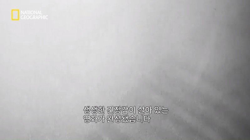 1999년, 새로운 장르의 공포영화가 인터넷을 통해 홍보되다 | 인스티즈