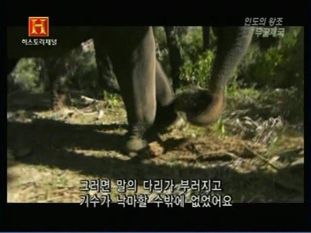 인도의 무굴 제국에서 사용한 전투 코끼리 갑옷 | 인스티즈