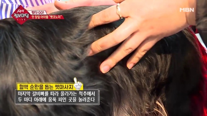 강아지 아로마테라피.jpg | 인스티즈