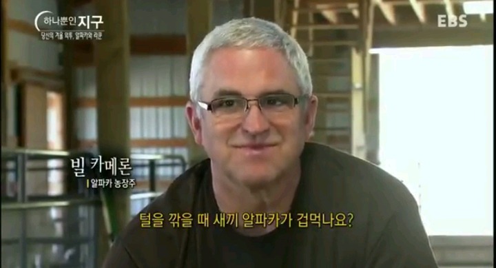 이제 겨울인데 오리털 패딩이나 사입을까? (혐오주의) | 인스티즈