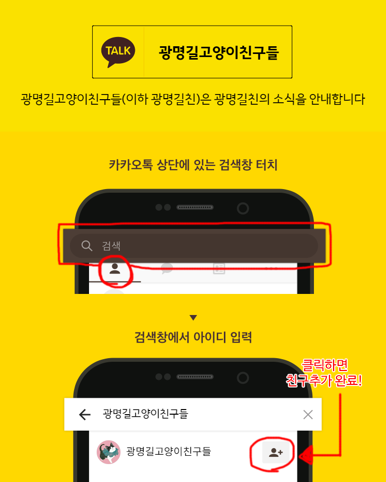 [사진주의] 청소년 남매 고양이가 처참한 몰골이 되어 구조됐어.. | 인스티즈