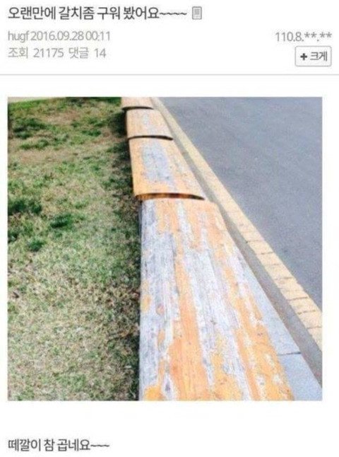 허언증 갤러리 레전드 모음ㅋㅋ.jpg | 인스티즈
