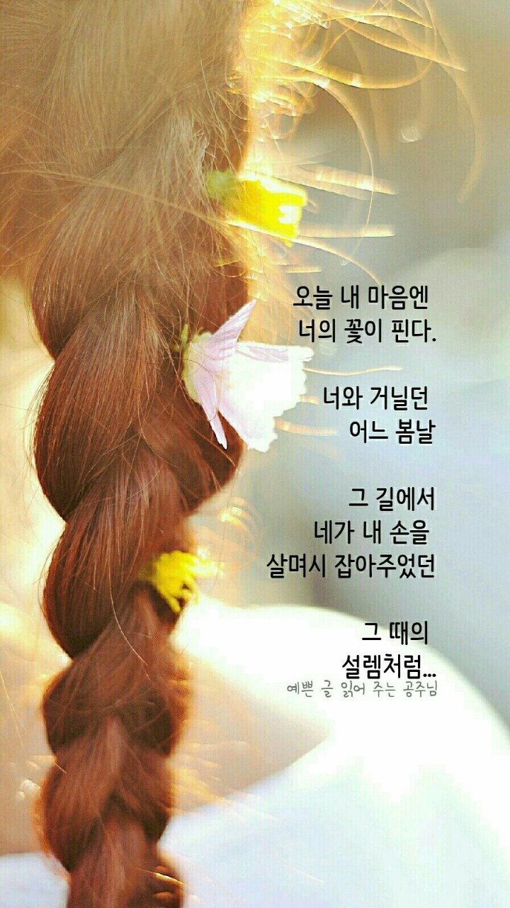풀꽃향기 이미지