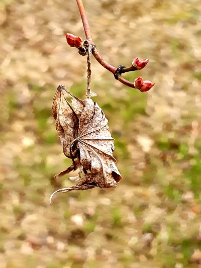 99BE303E5C9F16DA21FB9A