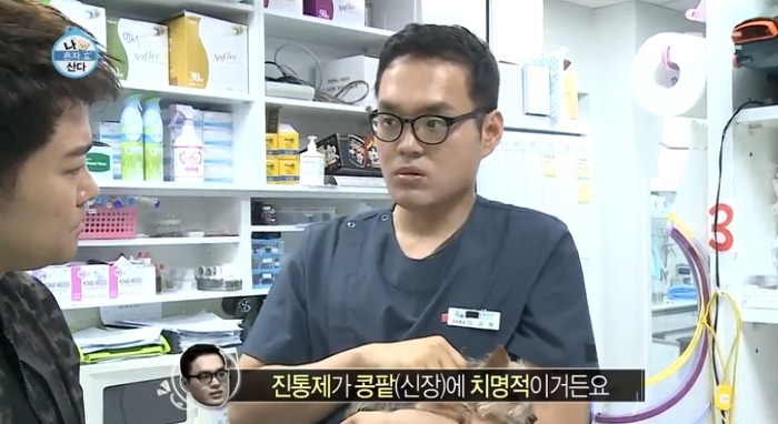 [나혼자산다] 전현무와 17살 반려견 또또 이야기.jpg | 인스티즈