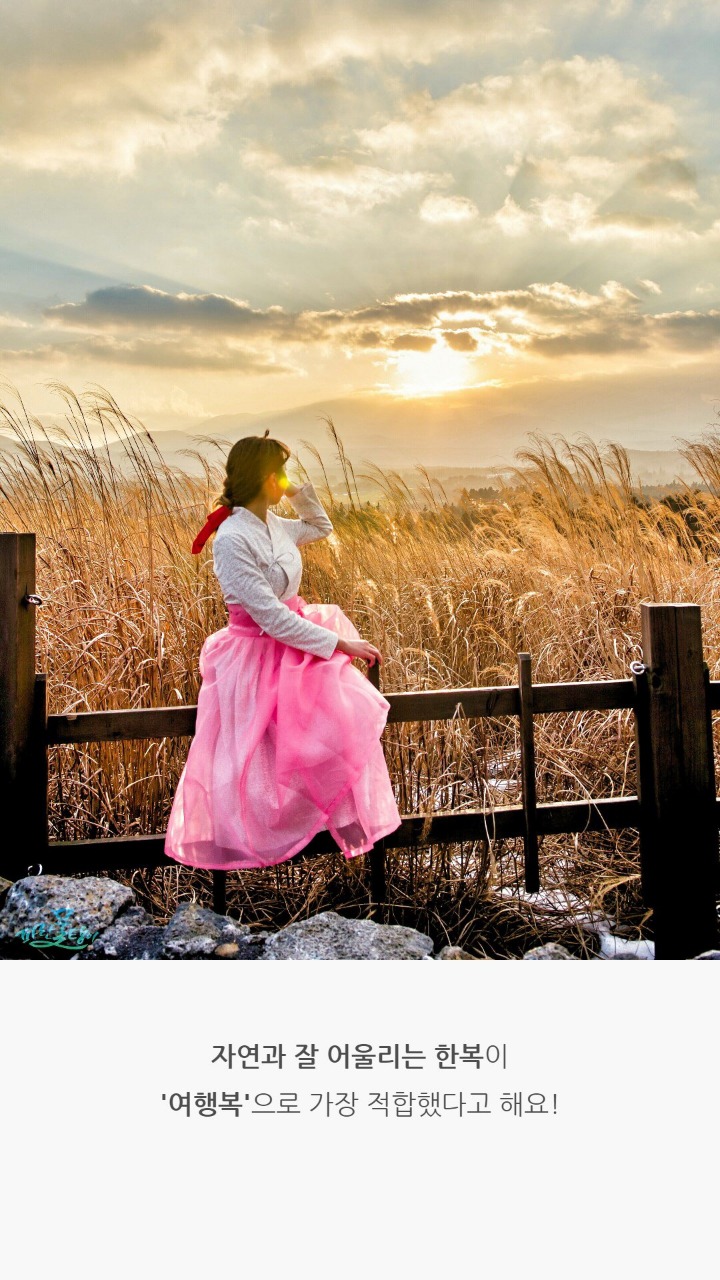 백팩에 한복만 챙겨서 여행을 다닌다는 대학생...jpg | 인스티즈