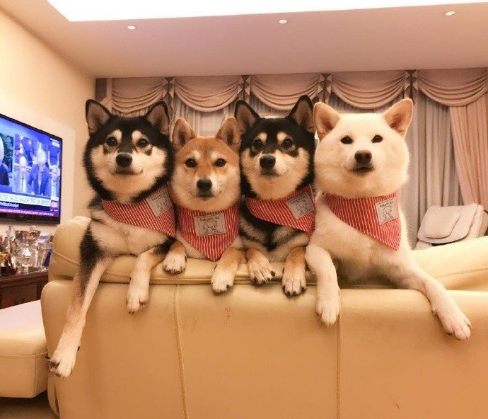 개판이네 | 인스티즈