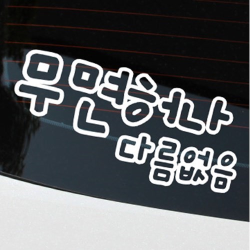 불쾌한 초보운전 딱지.JPG | 인스티즈