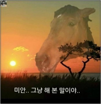 우리아리 이미지