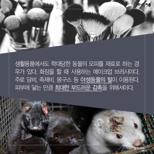 일상에 스며든 동물학대 생산품들 (중간에 피 주의) | 인스티즈