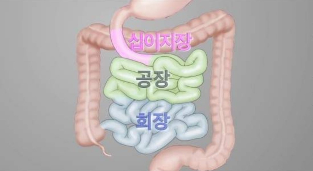 육장인 이미지