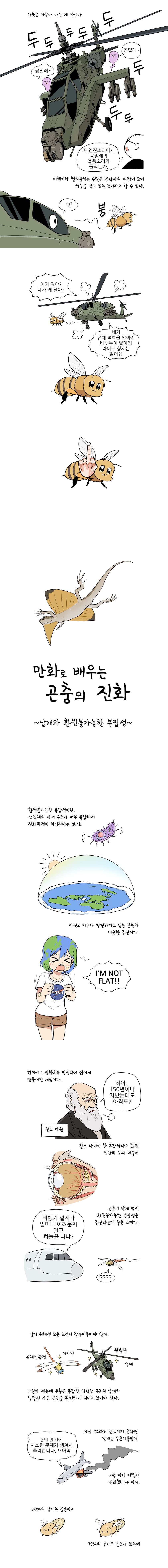 만화로 배우는 곤충의 진화. 6부 날개와 환원불가능한 복잡성 | 인스티즈