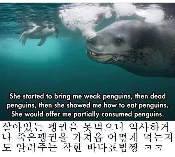 네셔널 지오그래픽 레전드 사건 | 인스티즈