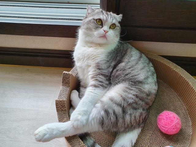 행복반찬 이미지