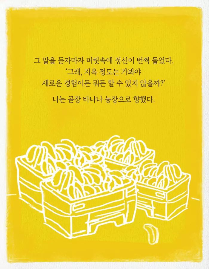 카이스트 다니다가 바나나 농장에 취직한 이유 | 인스티즈
