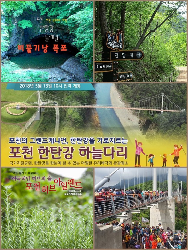 포천한탄강메기매운탕 이미지