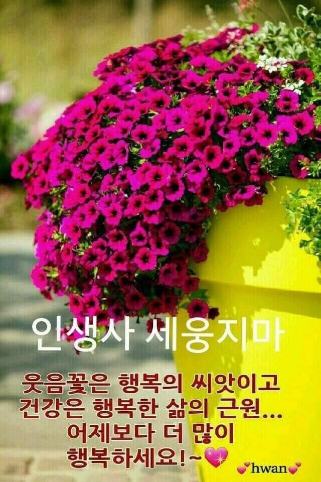 하루 이미지
