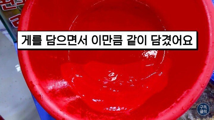 수산시장에서 바가지 안당하는법.JPG | 인스티즈